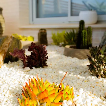 펜션 Palm 3 Bdr Terraced House With Jacuzzi